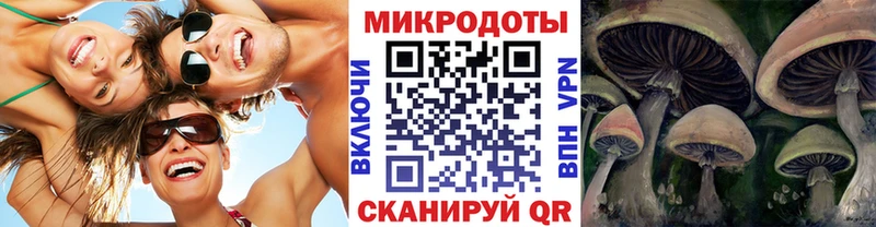 Галлюциногенные грибы Magic Shrooms  где найти наркотики  Евпатория 
